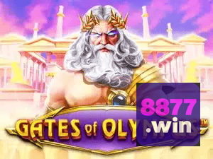 8877 WIN APP mobile iOS Android - 187 mil downloads São Paulo Rio BH